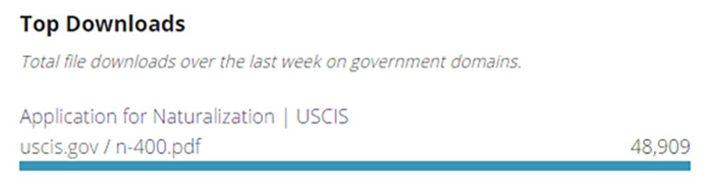 A screenshot of a top downloaded item, in this case an Application for Naturalization from USCIS.
